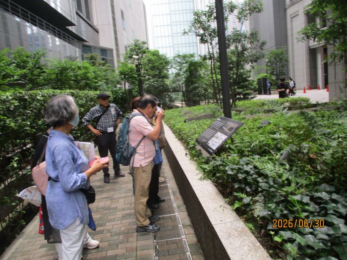 ラブスト・東京真ん中知らないを知ってみる